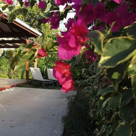 Kalypso - Les Villas Kikko Saint-Francois  Ngoại thất bức ảnh