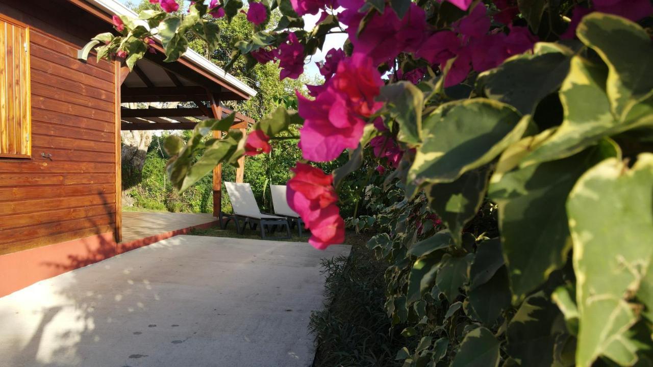 Kalypso - Les Villas Kikko Saint-Francois  Ngoại thất bức ảnh